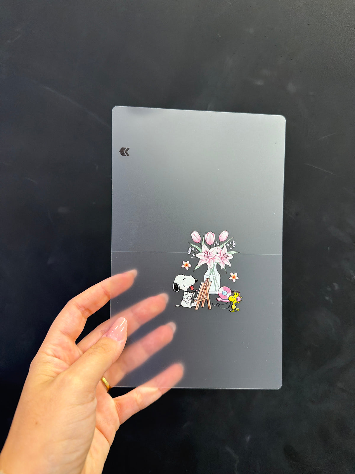 BACK SKIN DISNEY