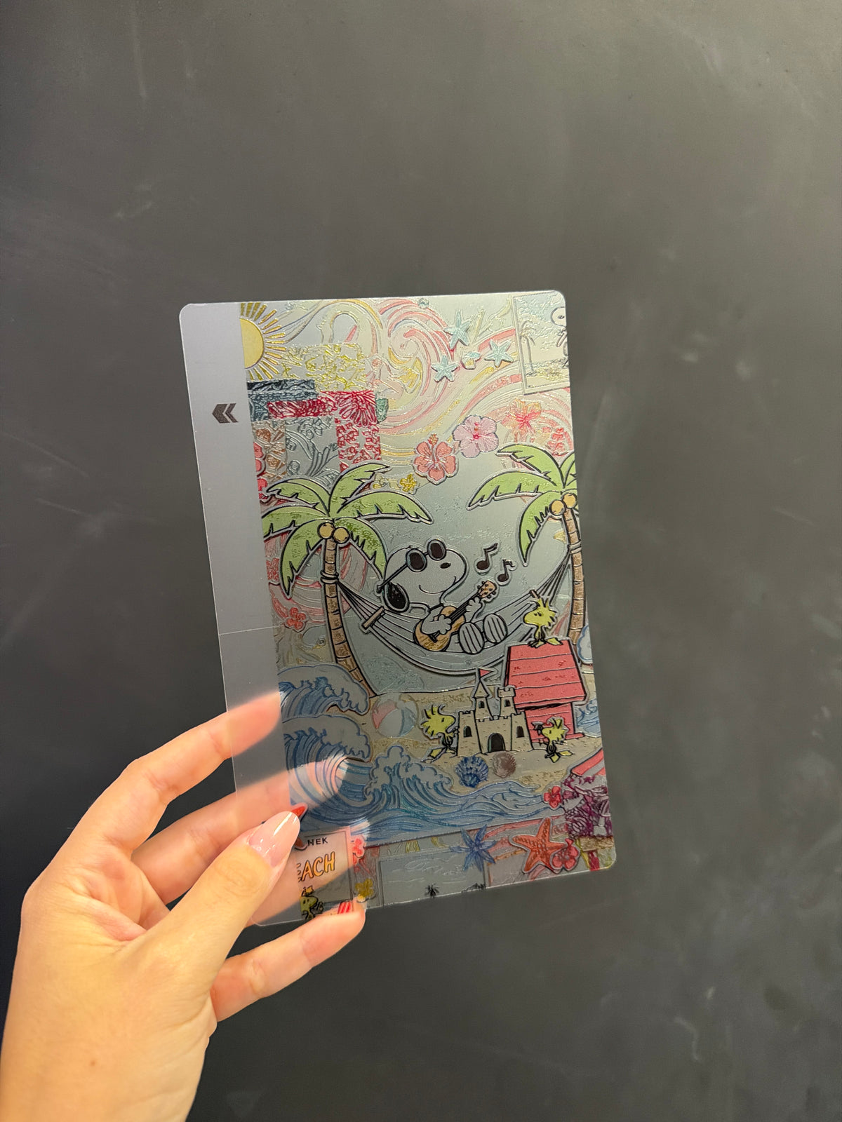 BACK SKIN DISNEY